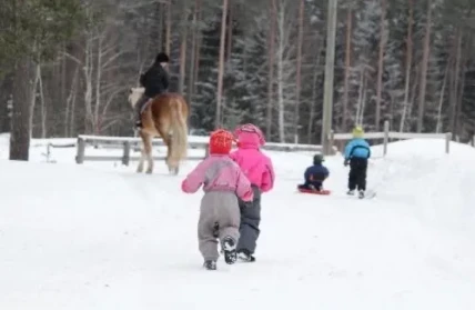 02762a41 ce42 4e76 8d7d 18c452a313c0