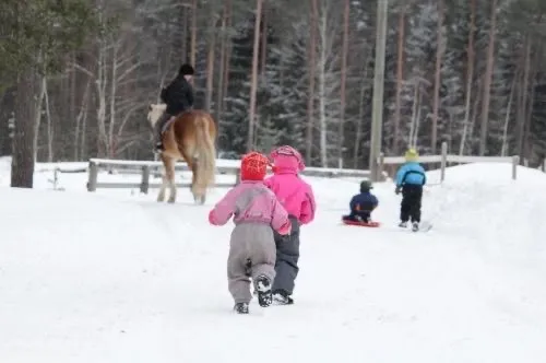 02762a41 ce42 4e76 8d7d 18c452a313c0