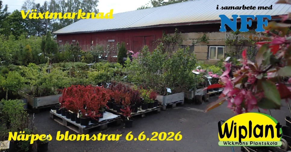 1200x629 Nblomstrar26 3