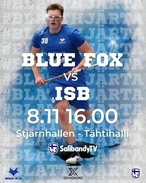 20251108 blue fox isb