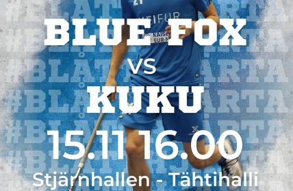 20251115 blue fox kuku
