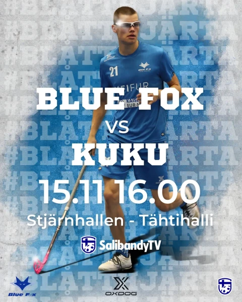 20251115 blue fox kuku