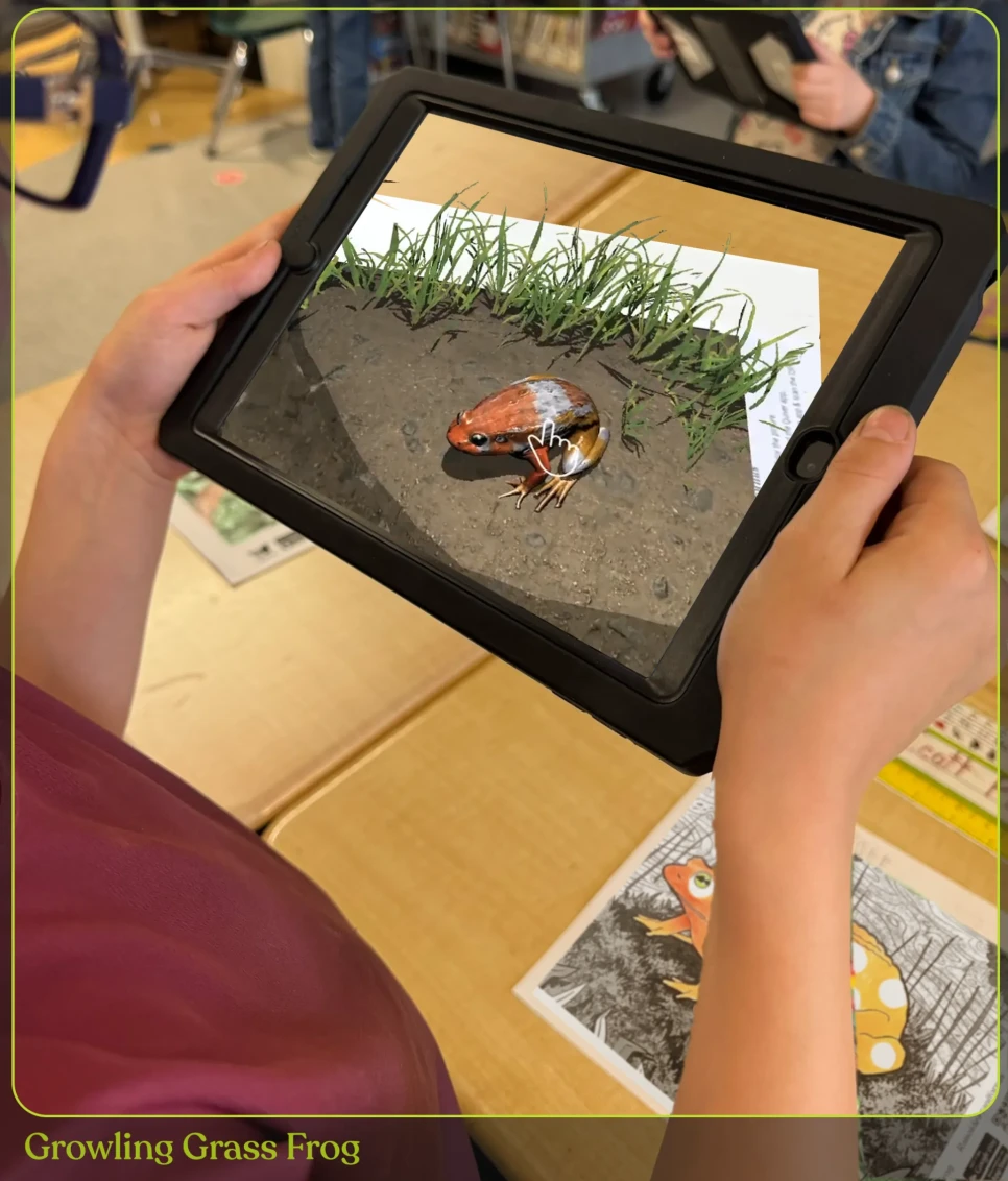 57 Education Programme Cinque White 5 Victorian Frogs Growling Grass