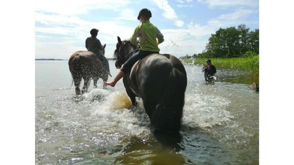 6621bd64 whatsapp image 2023 12 20 at 20 padwze2mdasotawlcjgrkzgrkyildbd 56 51 1 1536x864