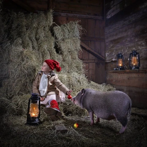 Aava ja Terho possu v2