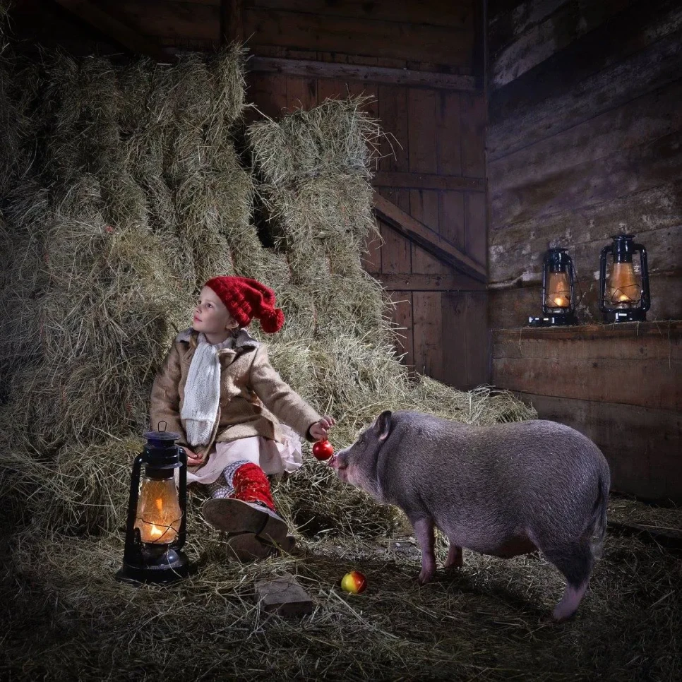 Aava ja Terho possu v2