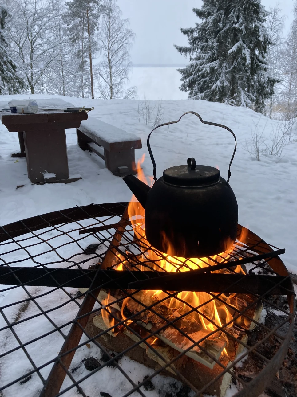 Appelsiinimaen nuotio 26 12 2024 IMG 9080