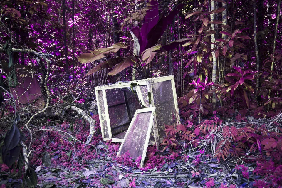 Coexistence 2018 KatiRoover medium
