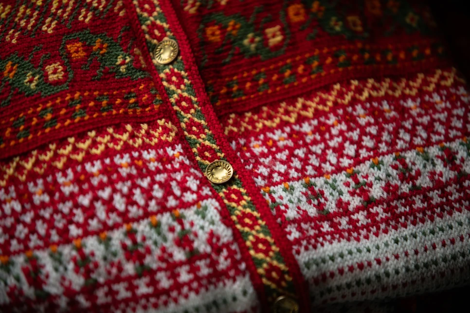 DSC 5798 Detaljbild av Korsnastrojan