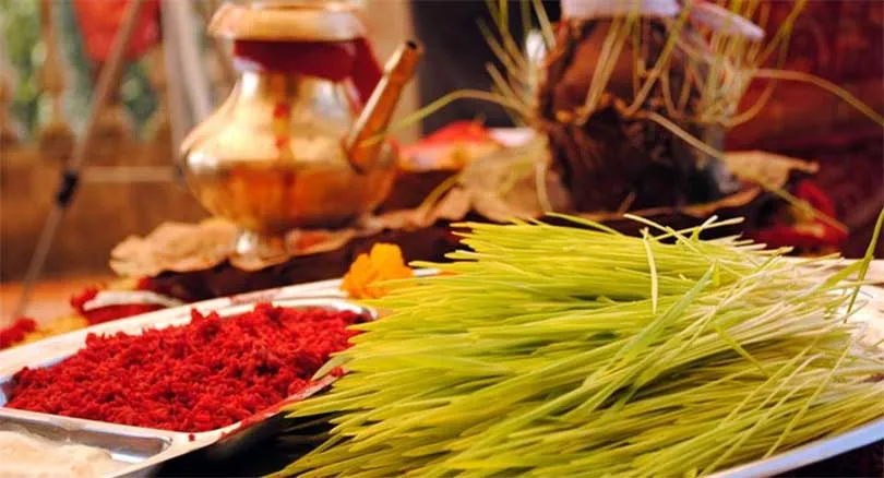 Dashain Tika Jamara