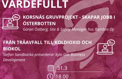 Fran dolt till vardefullt some