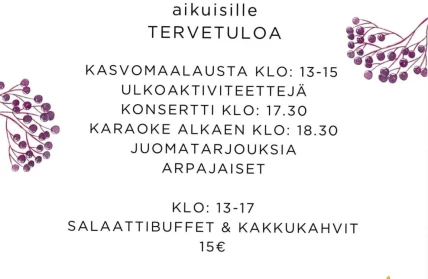Hans Inn avajaiset
