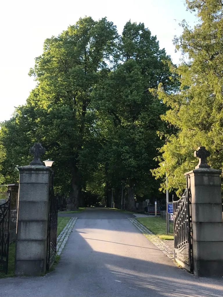 Hautausmaan portti