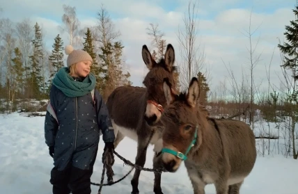 IMG 20250114 162929 HDR