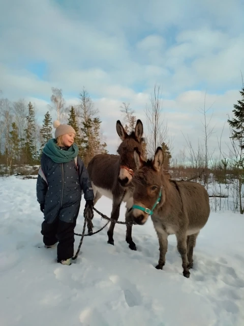 IMG 20250114 162929 HDR