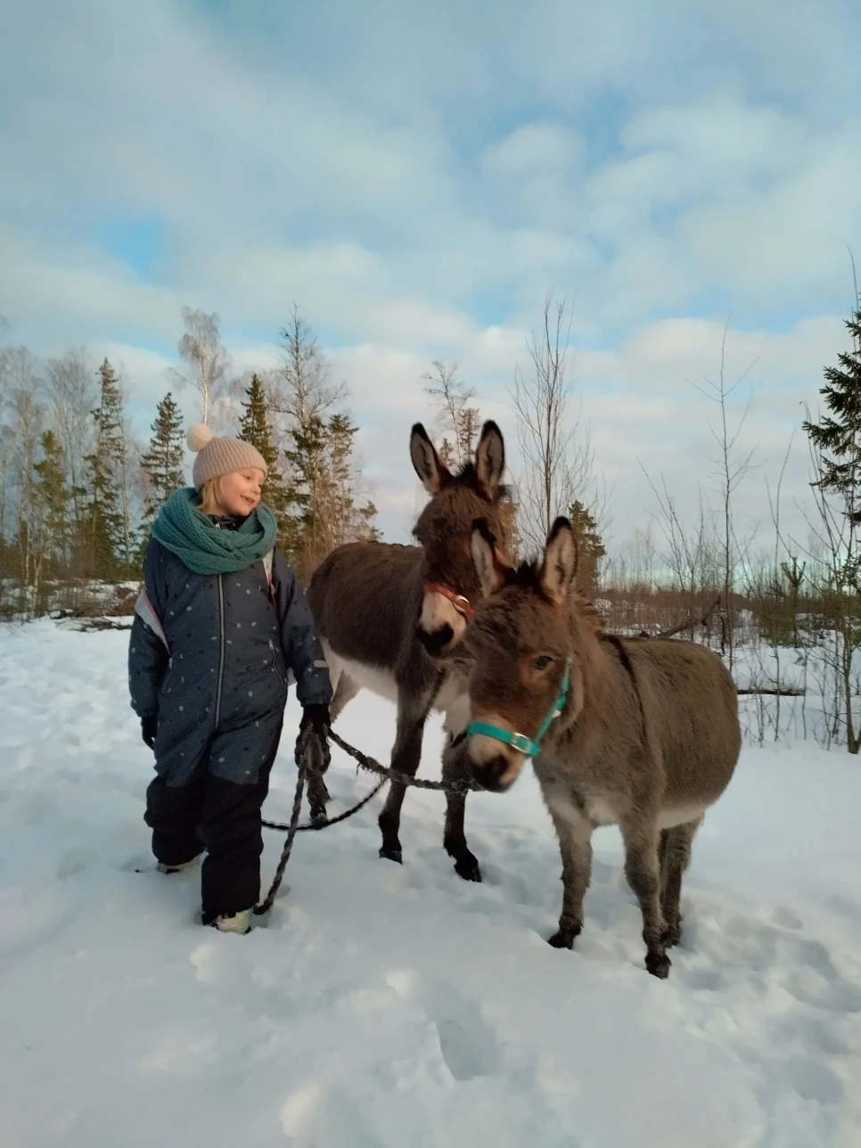 IMG 20250114 162929 HDR