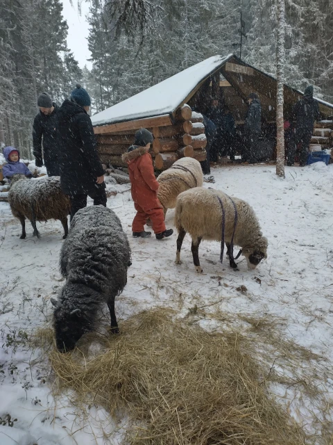 IMG 20260221 135054 HDR