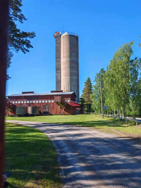 IMG 20260610 174934