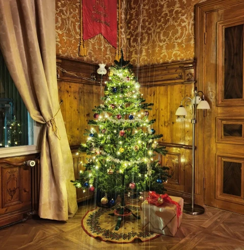 Julbild v2