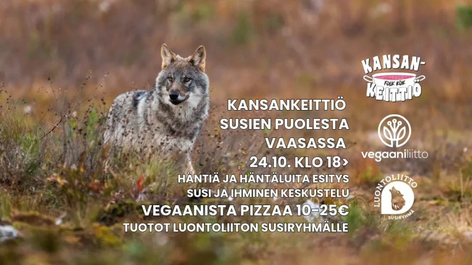 Kansankeittio