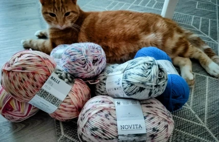 Katt med garnnystan