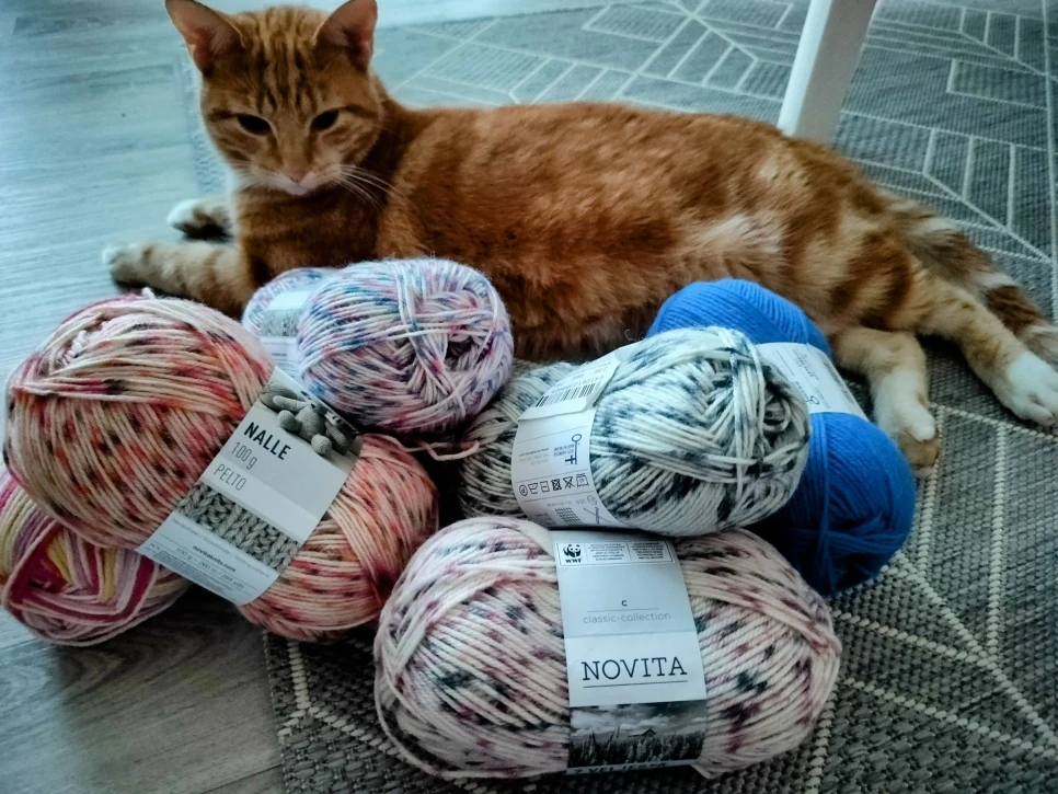 Katt med garnnystan
