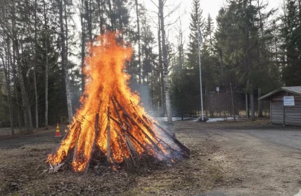 Kokko ilmoitus