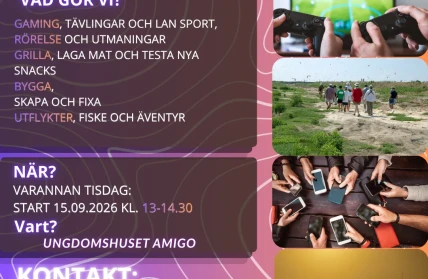 Kopia av Instagram 45 kultur o fritid