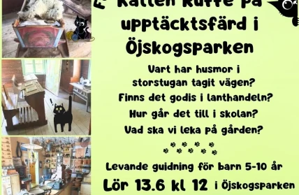 Kopia av katten Ruffe i Ojskogsparken 2