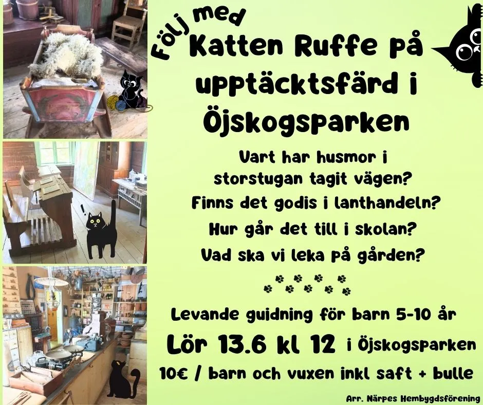 Kopia av katten Ruffe i Ojskogsparken 2