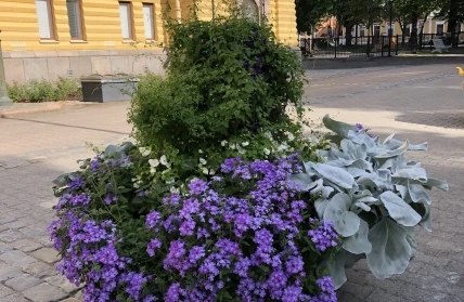 Kukkaistutukset