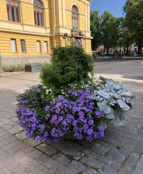 Kukkaistutukset