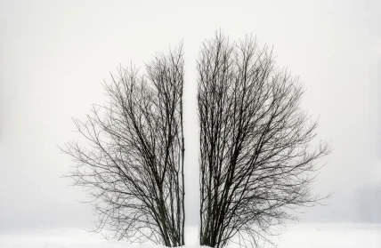 Laitinen Antti Broken landscape III Kuva Arto Liiti kokkola