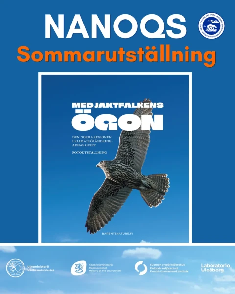 MED JAKTFALKENS OGON