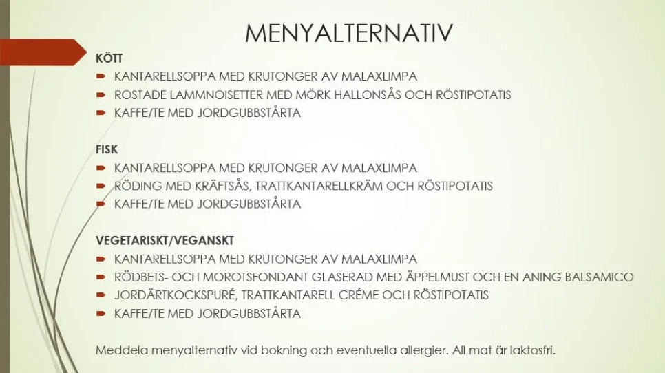Menyalternativ