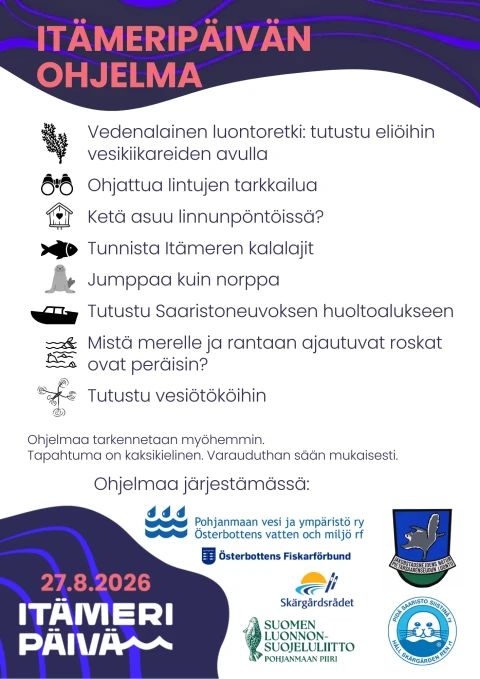 Ohjelma laaja