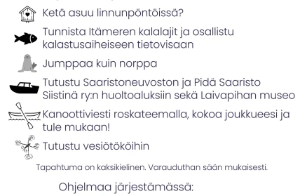 Ohjelma laaja fi
