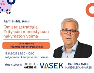 Omistajastrategia Hallituspartnerit