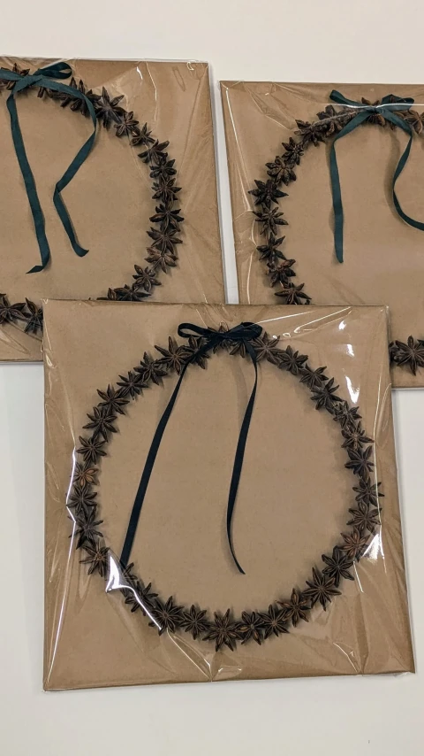 PXL 20241210 080426783 PORTRAIT ORIGINAL