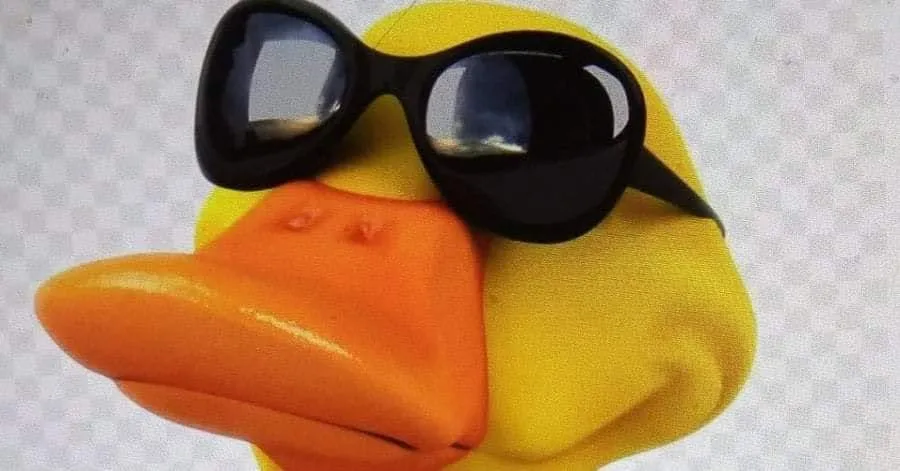 Perttis stompin duck kuva