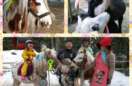 Polish 20240304 202012937