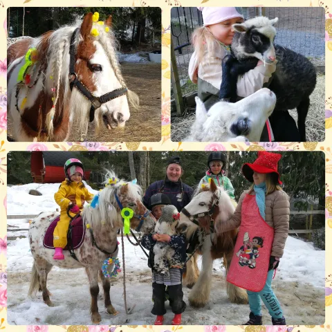 Polish 20240304 202012937