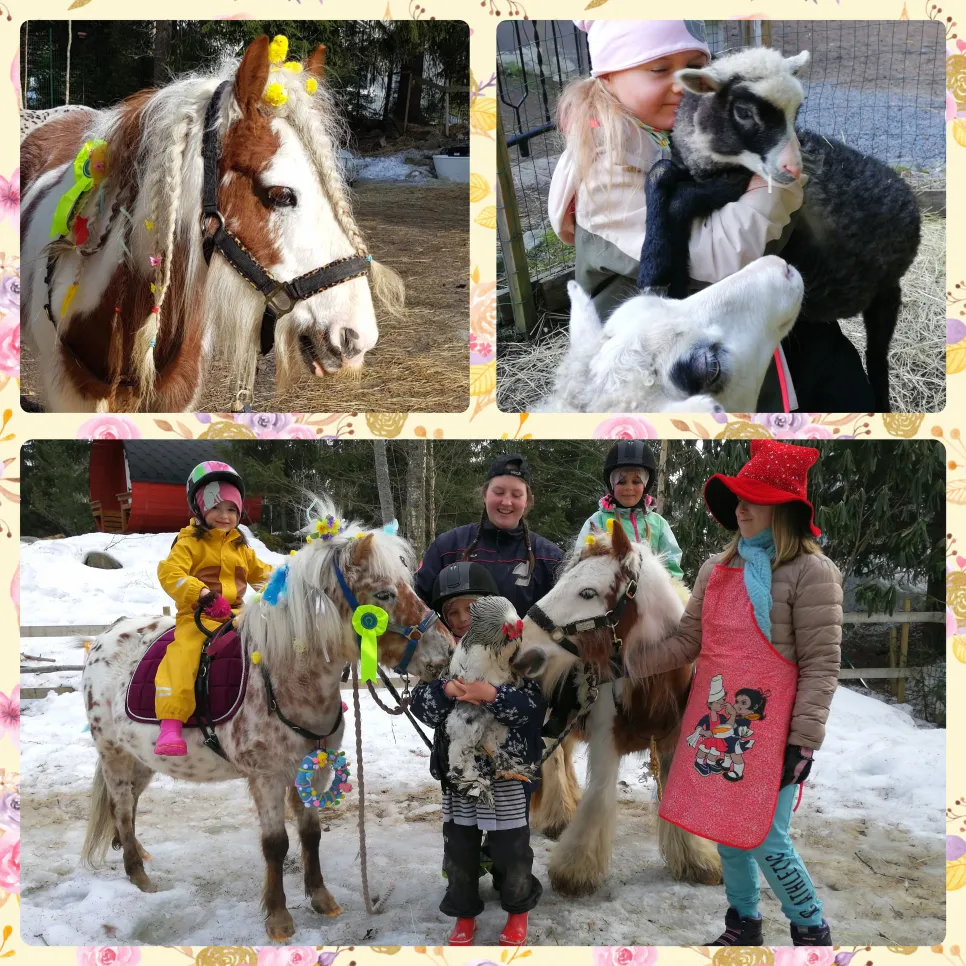 Polish 20240304 202012937