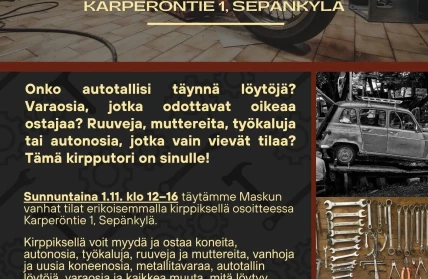 Romukirppis Suomeksi