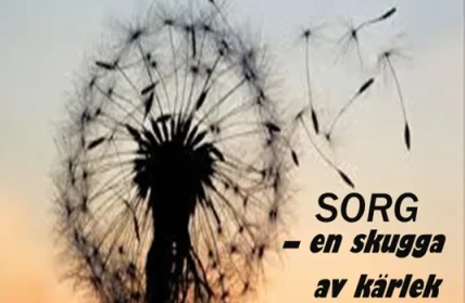 SORG en skugga av karlek