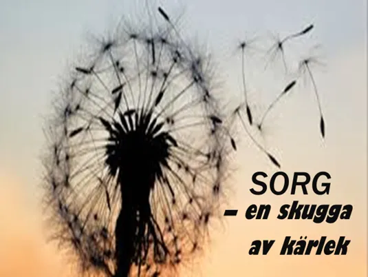 SORG en skugga av karlek