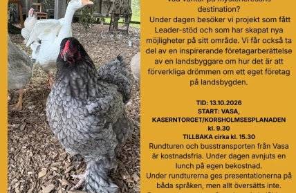 SWE  Leader 30 vuotta julkaisupohja 2 2