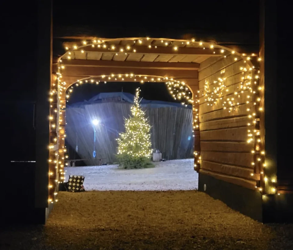 Screenshot 20251119 001351 WhatsApp