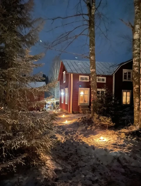 Screenshot 20251119 205501 Gallery