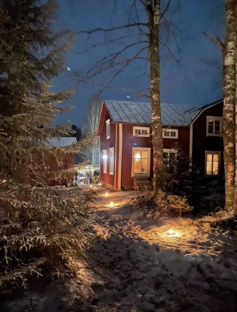 Screenshot 20251119 205501 Gallery